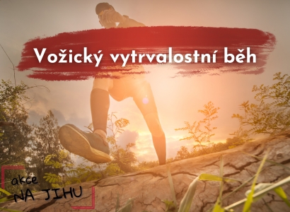 Vožický vytrvalostní běh